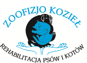 ZooFizjo Śląsk | Rehabilitacja dla psów i kotów | Dąbrowa Górnicza